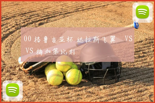 00 格鲁吉亚杯 达拉斯飞翼 VS VS 梅加第比利